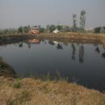 Vraj-Yatra-2014- (2498)